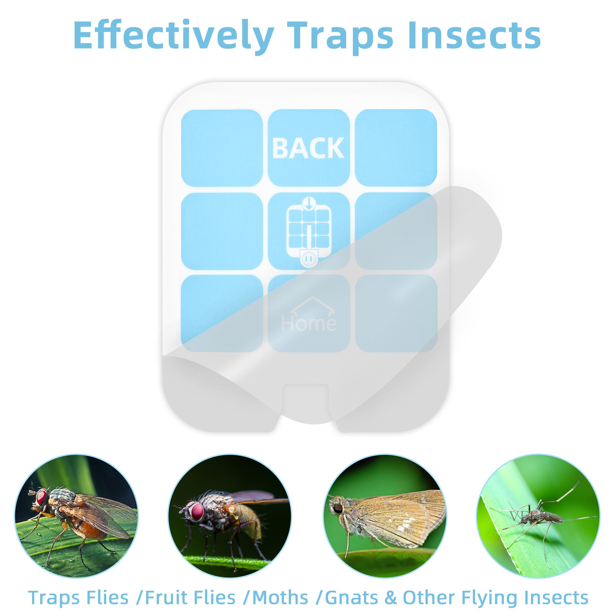 Raindot glue board fills with captured insects to prevent escape