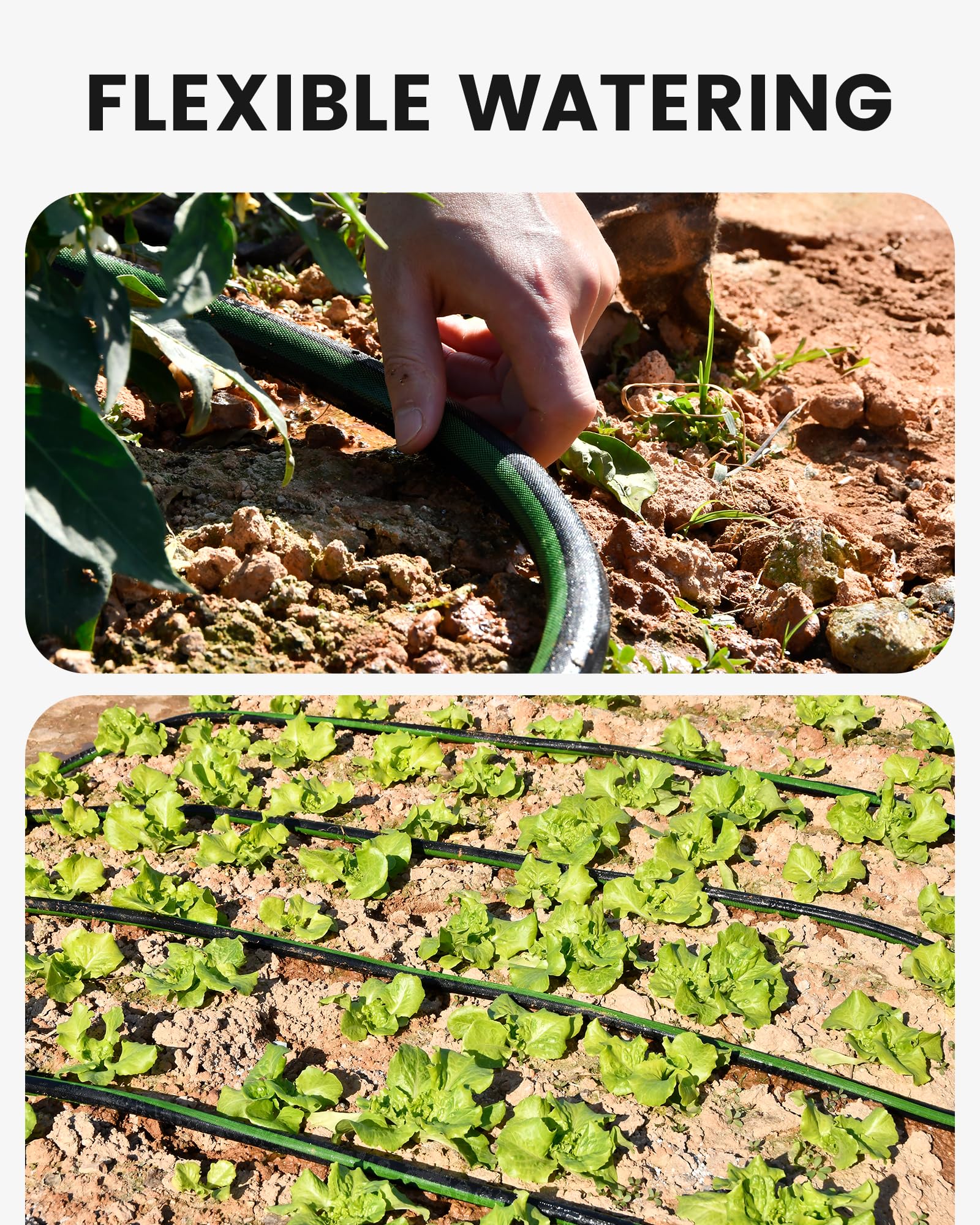RAINPOINT saves water by reducing evaporation for efficient garden irrigation.