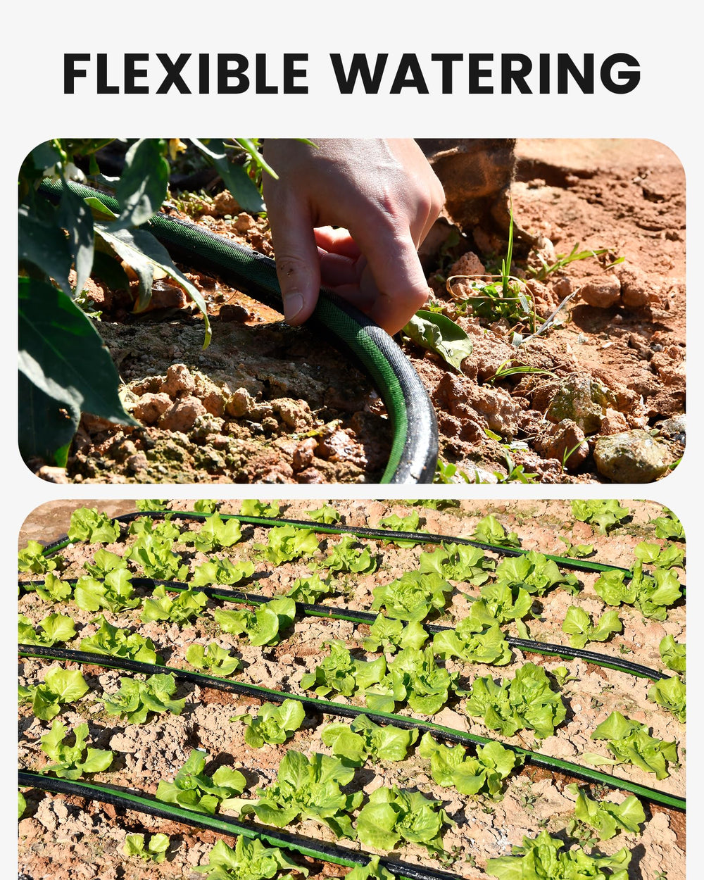 RAINPOINT saves water by reducing evaporation for efficient garden irrigation.