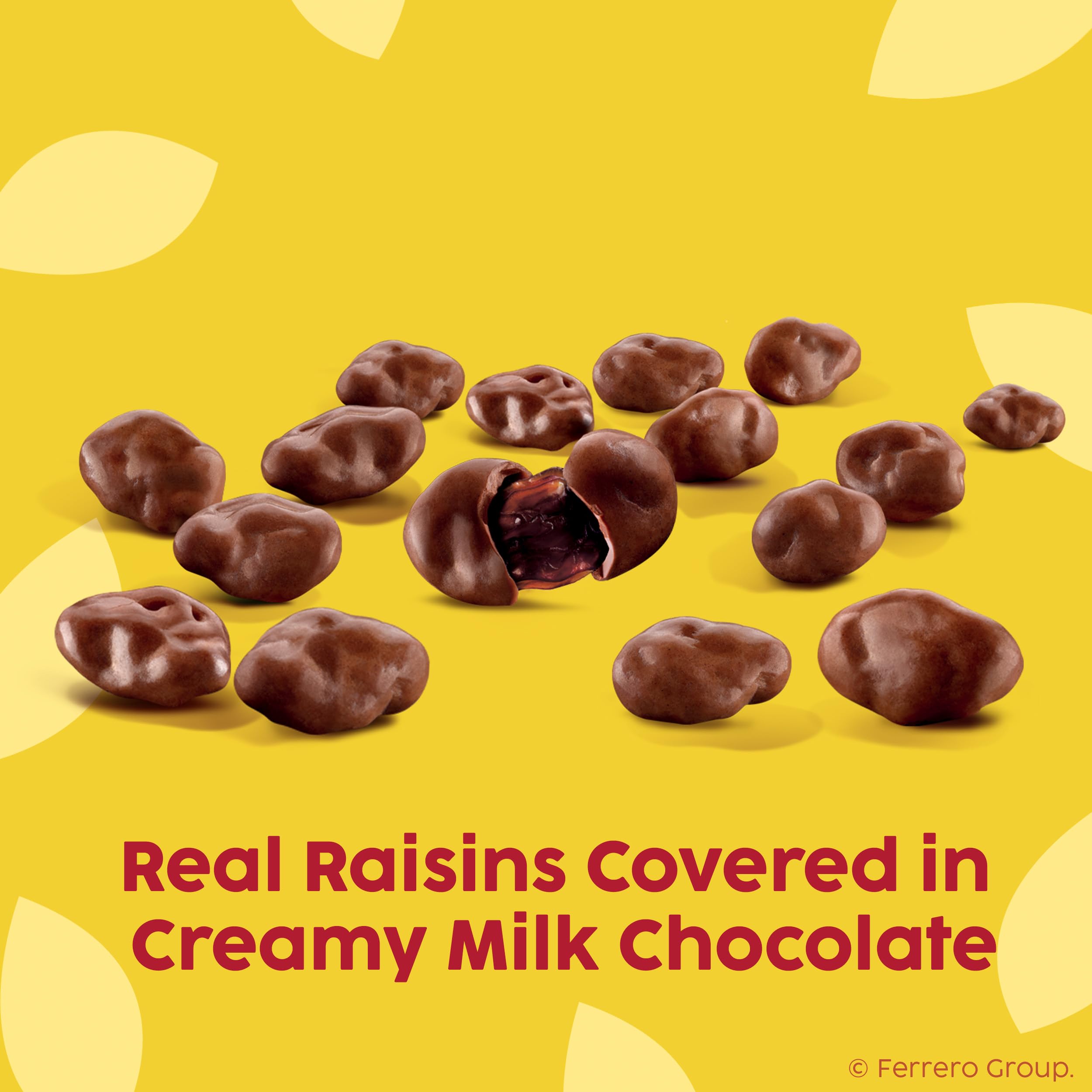 Close-up of smooth dark chocolate coating over juicy raisins