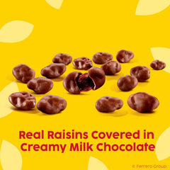 Close-up of smooth dark chocolate coating over juicy raisins