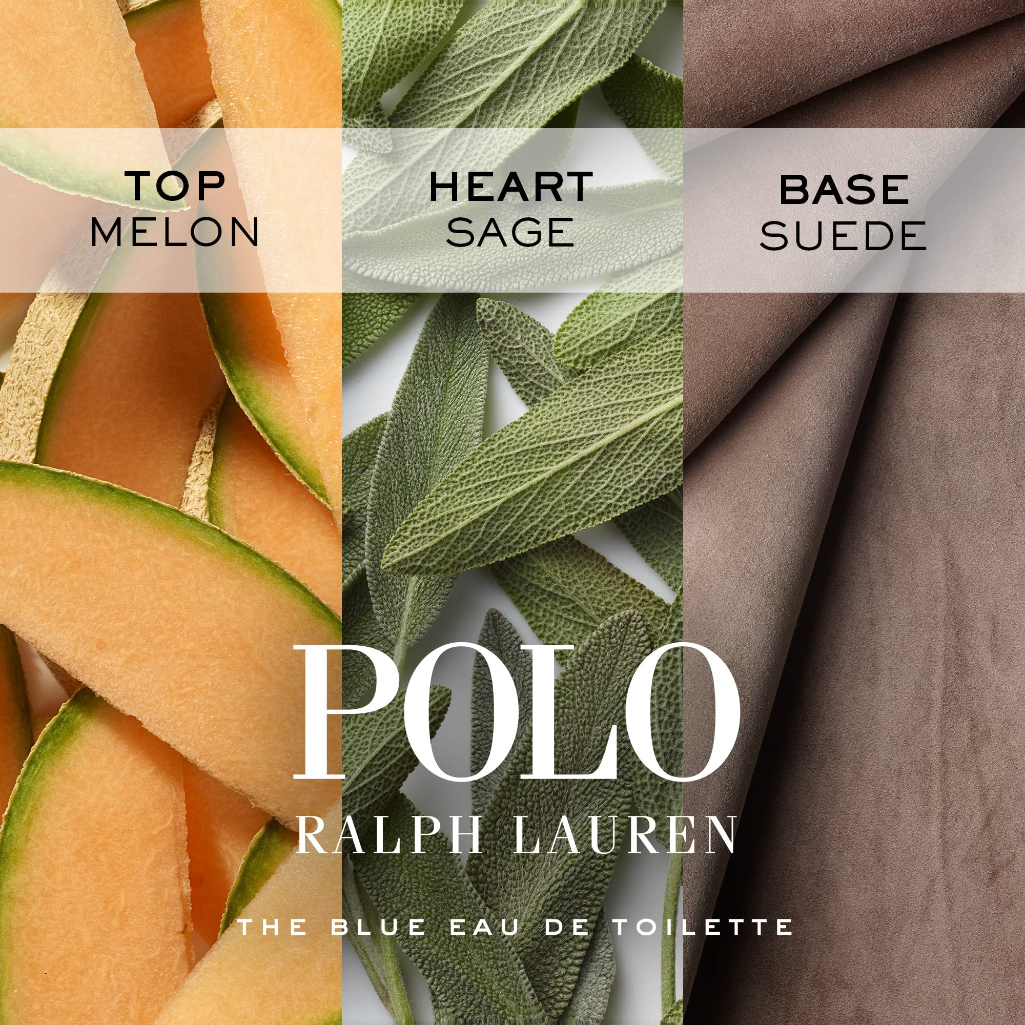 Close-up of Polo Blue packaging showing alcohol-free formula for everyday confidence