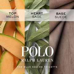 Close-up of Polo Blue packaging showing alcohol-free formula for everyday confidence
