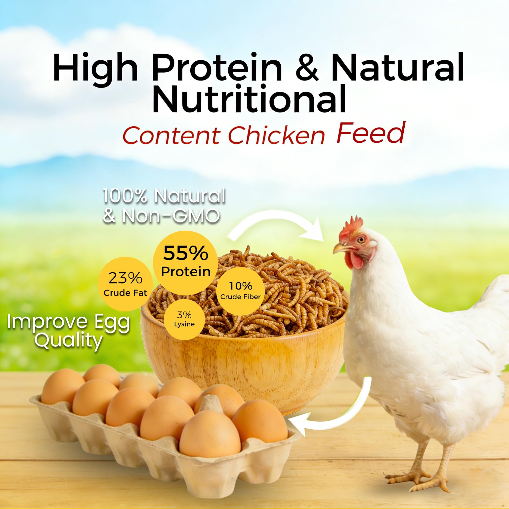 Chickens pecking RANZ dried mealworms for a protein-rich snack.