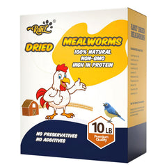 RANZ dried mealworms fed to chickens to support protein during growth