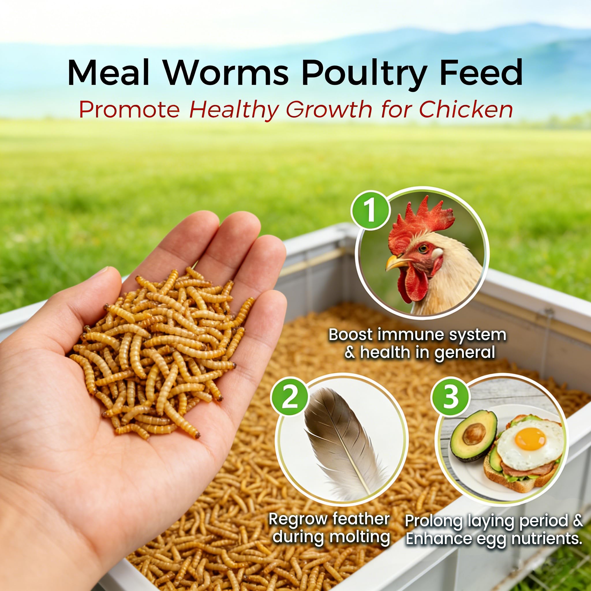 RANZ mealworms for ducks feeding near a pond for protein-rich snacking