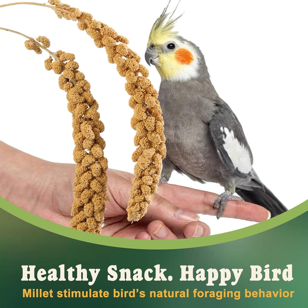 Clip or floor feeding option for millet spray.