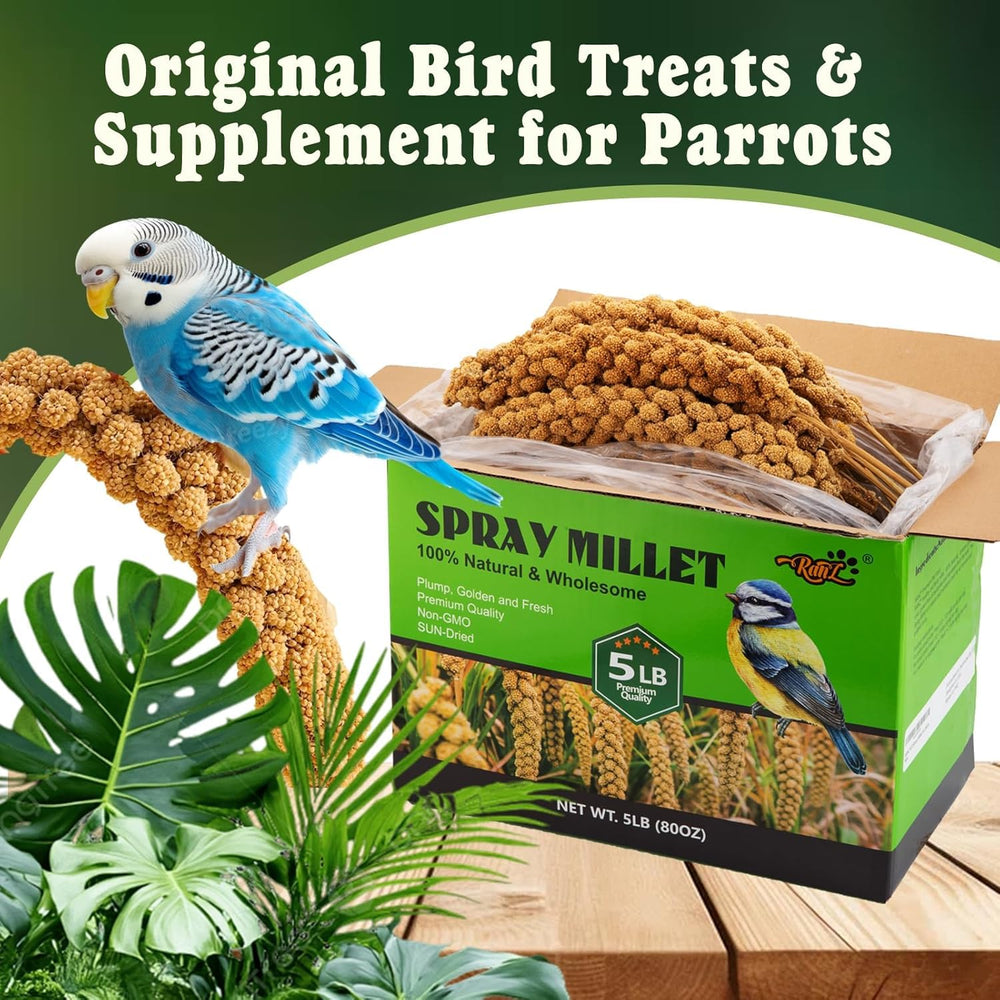 Finches and canaries enjoy RANZ millet spray.