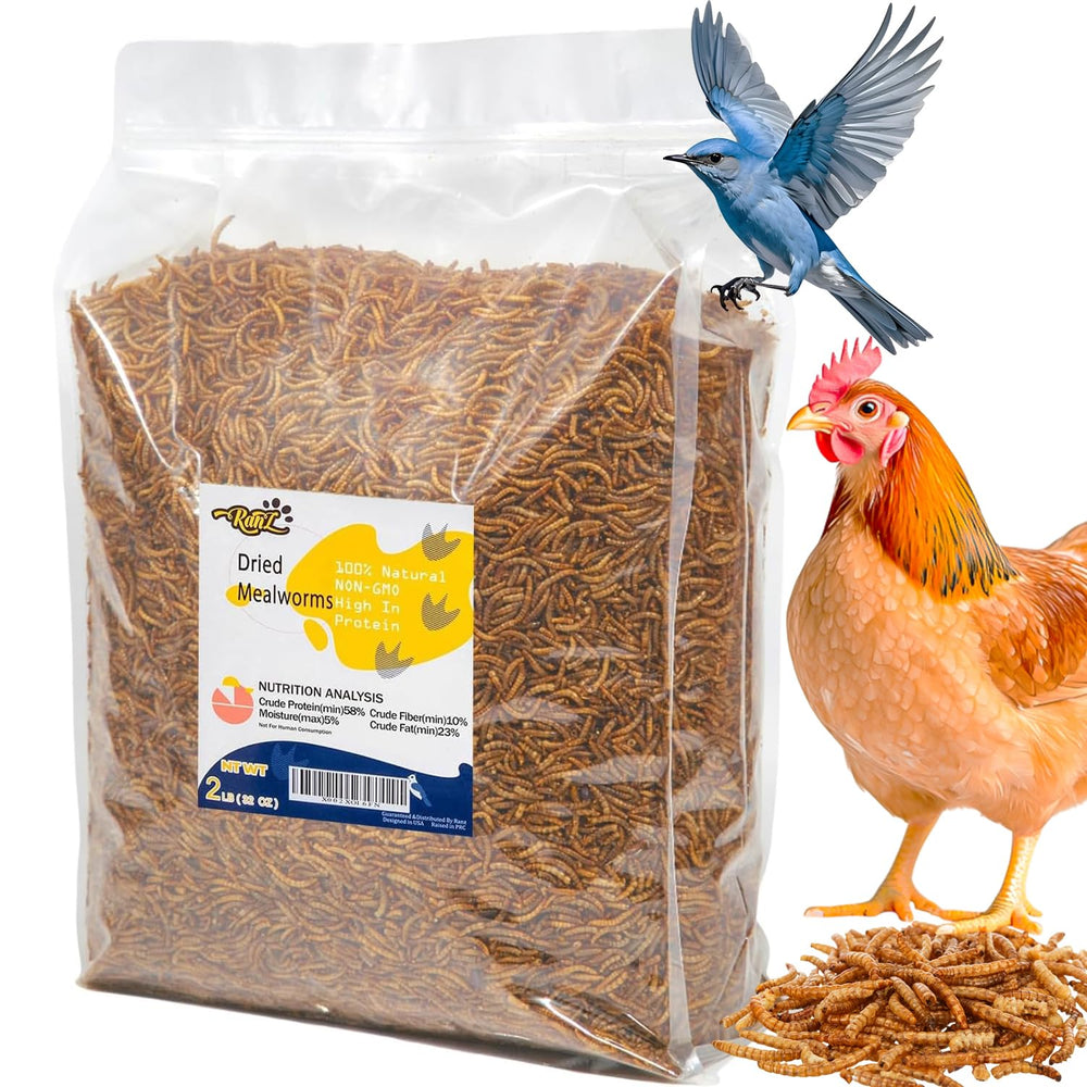 RANZ mealworms in a bowl ready for versatile feeding.