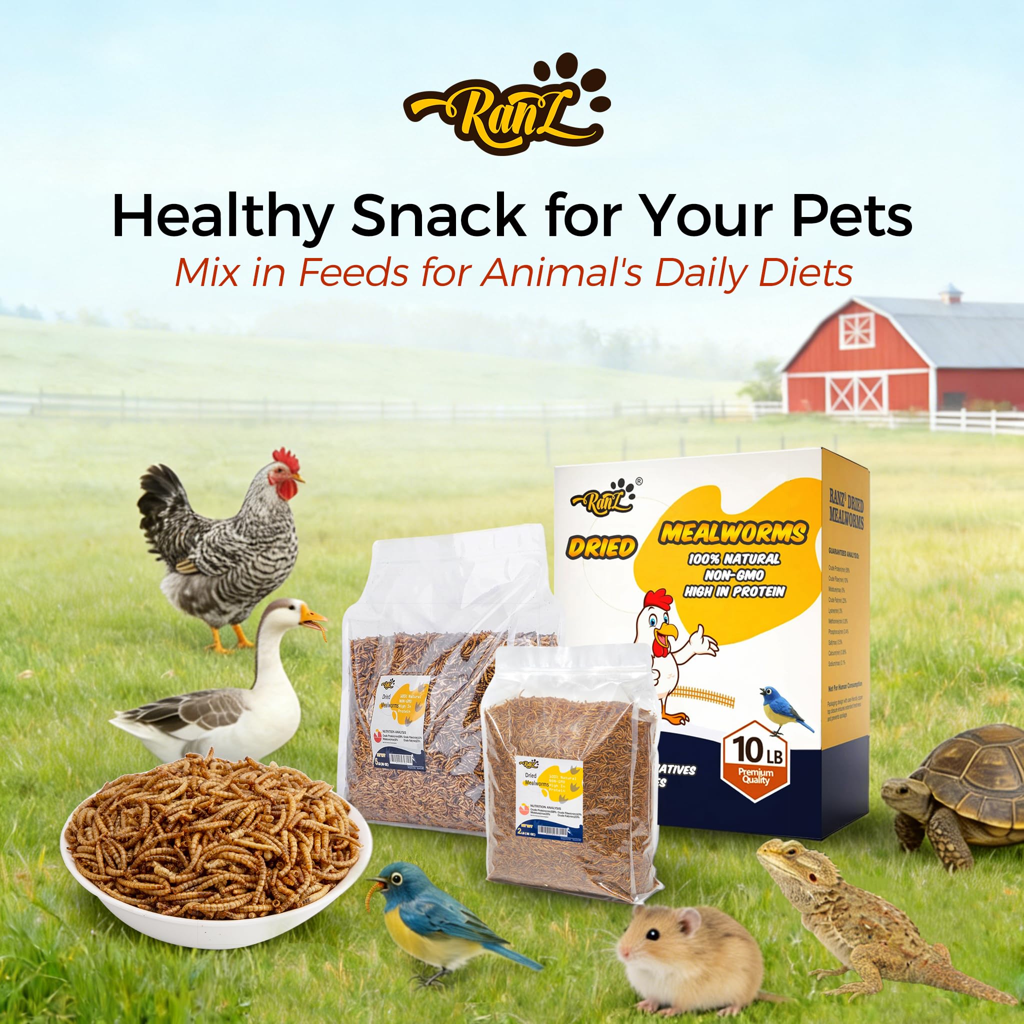 Measuring scoop with RANZ mealworms for portion-controlled feeding.