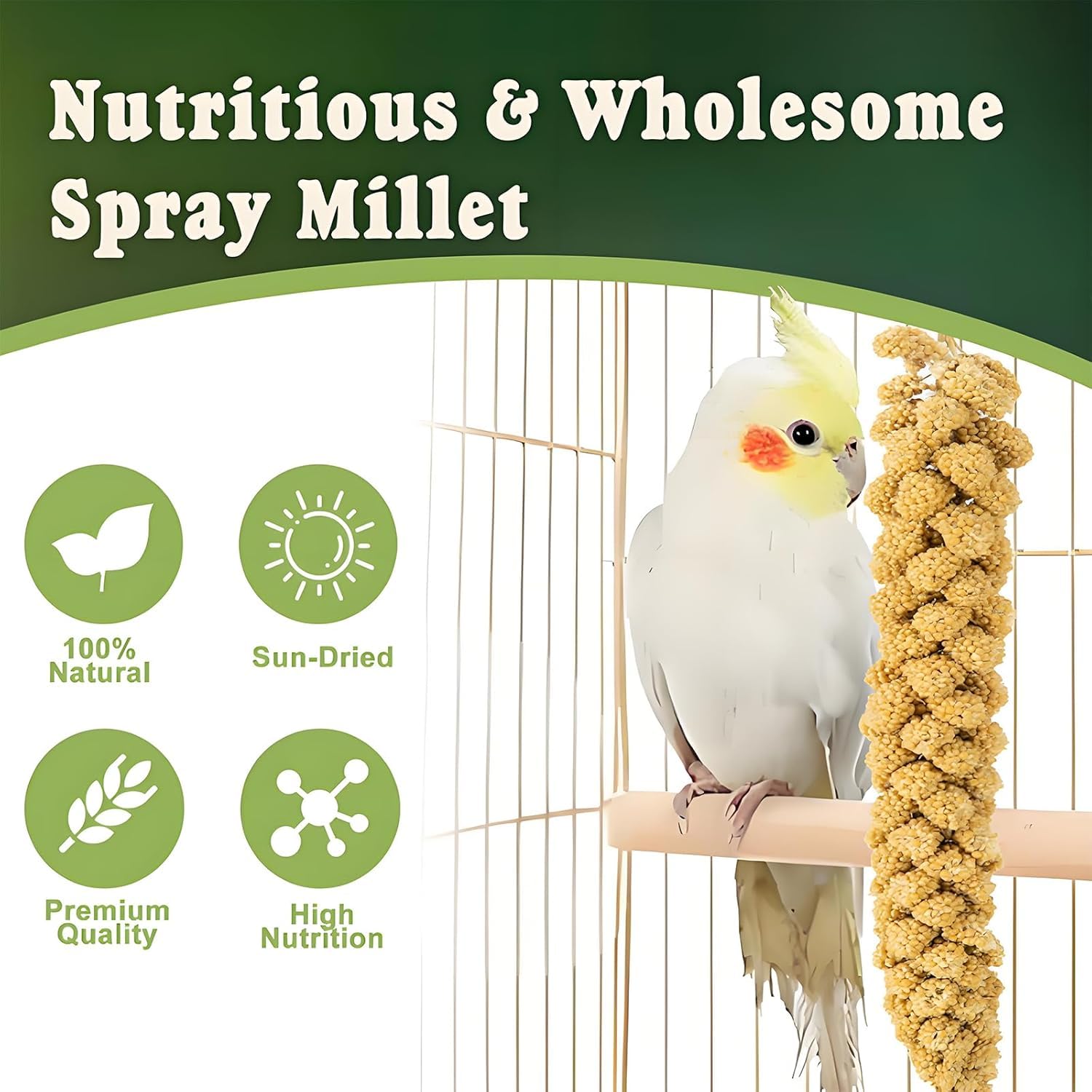 Close-up of RANZ millet spray prepared for parakeets.