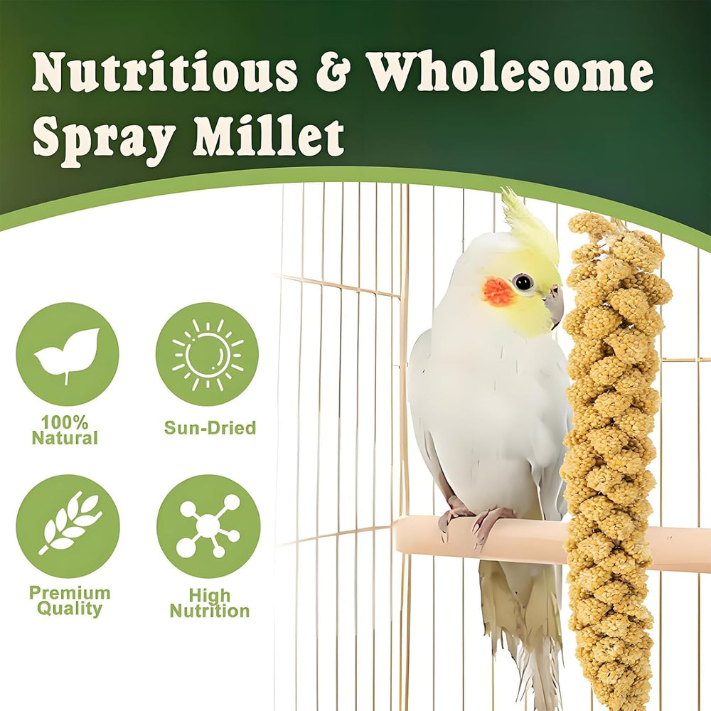 Close-up of RANZ millet spray prepared for parakeets.