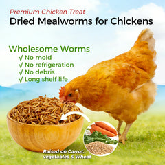 Close-up of RANZ Non-GMO dried mealworms showing texture and quality.