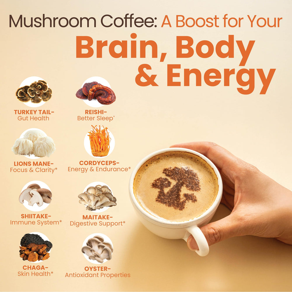 Rapid Fire Focus mushroom blend with Lions Mane and Reishi supports concentration.