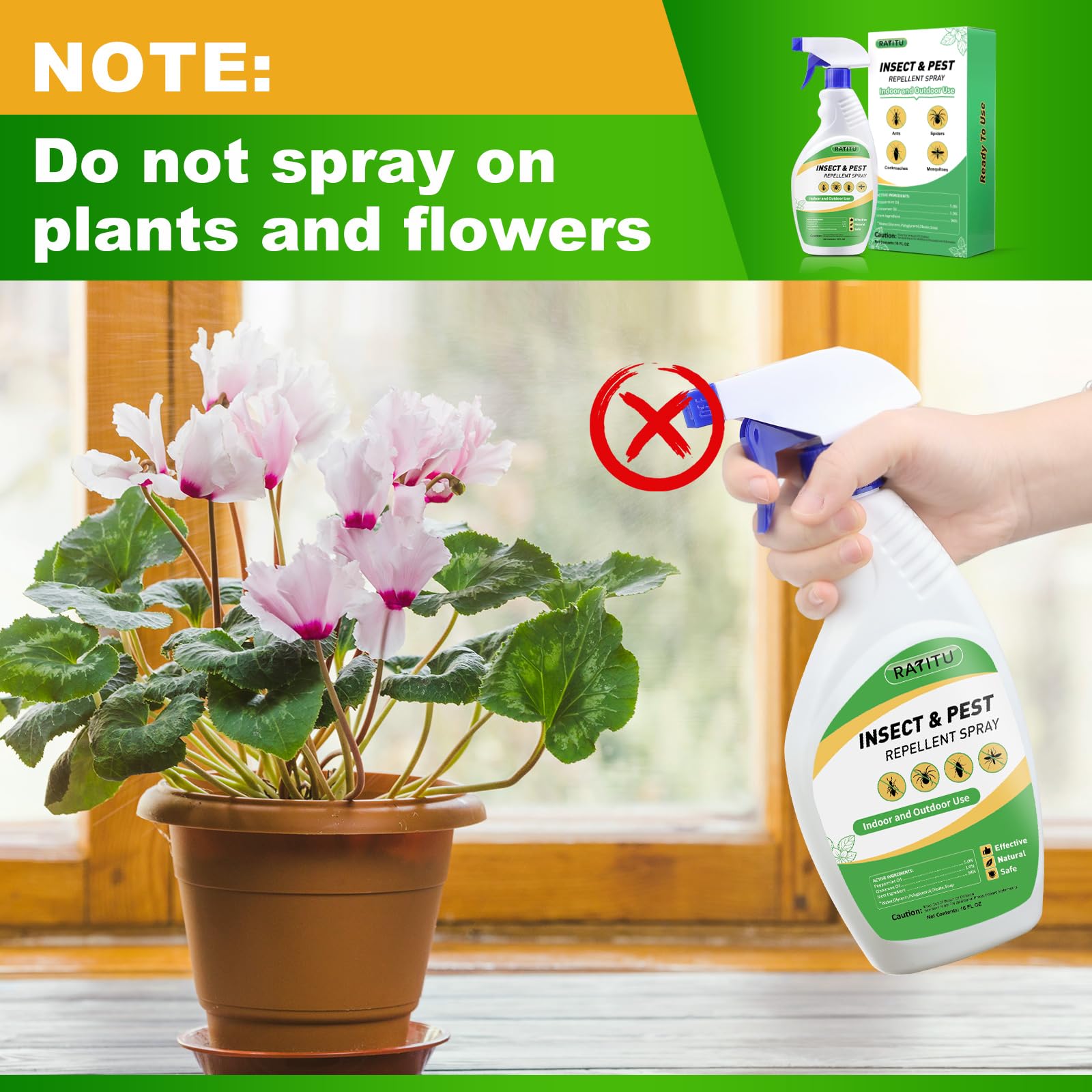 RATITU Peppermint Oil Spray combats ants and spiders without harsh chemicals.