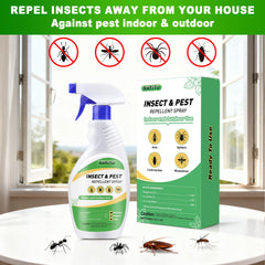 RATITU Peppermint Oil Spray used indoors to deter ants and spiders safely.