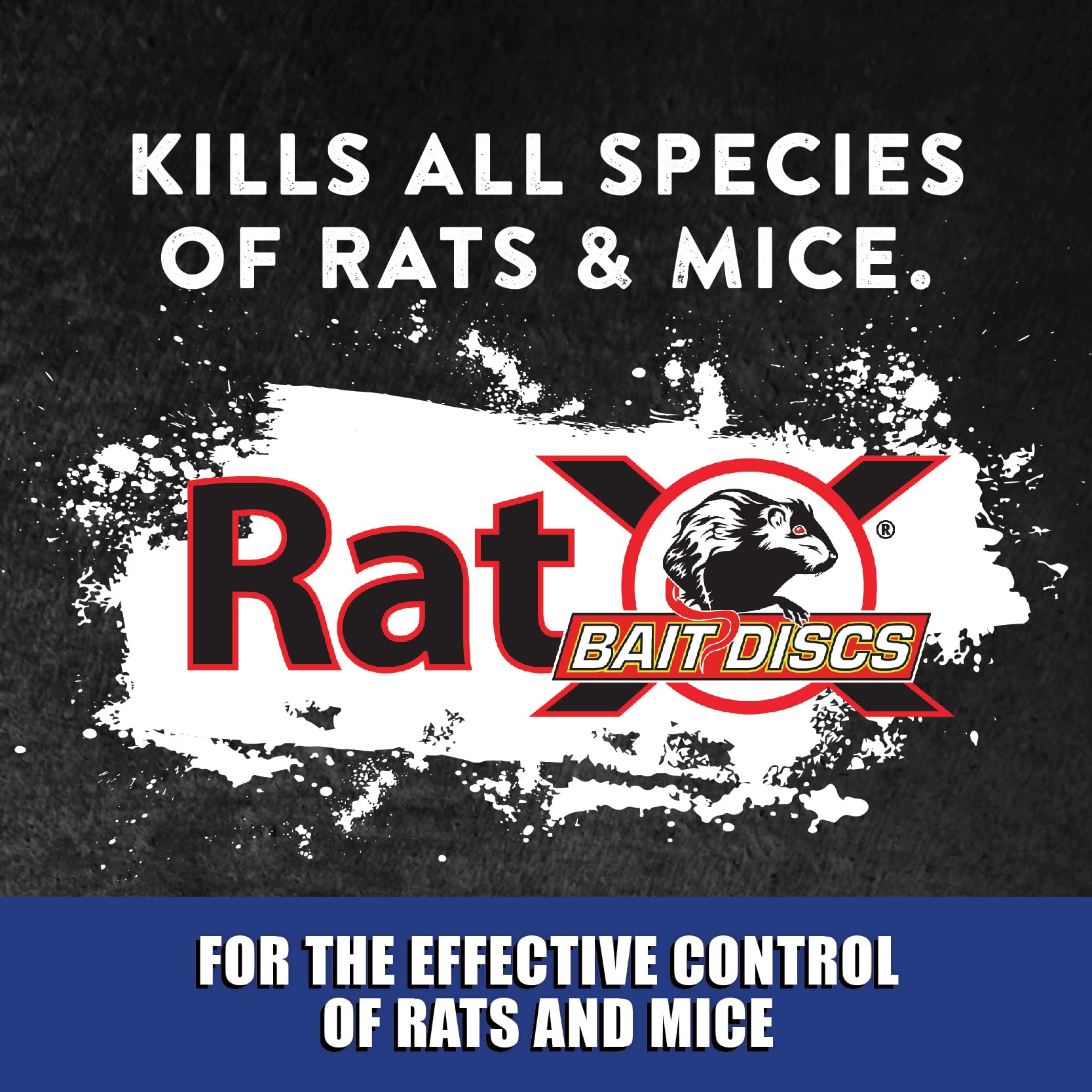 RatX Bait Discs shown in a bait station for easy use.