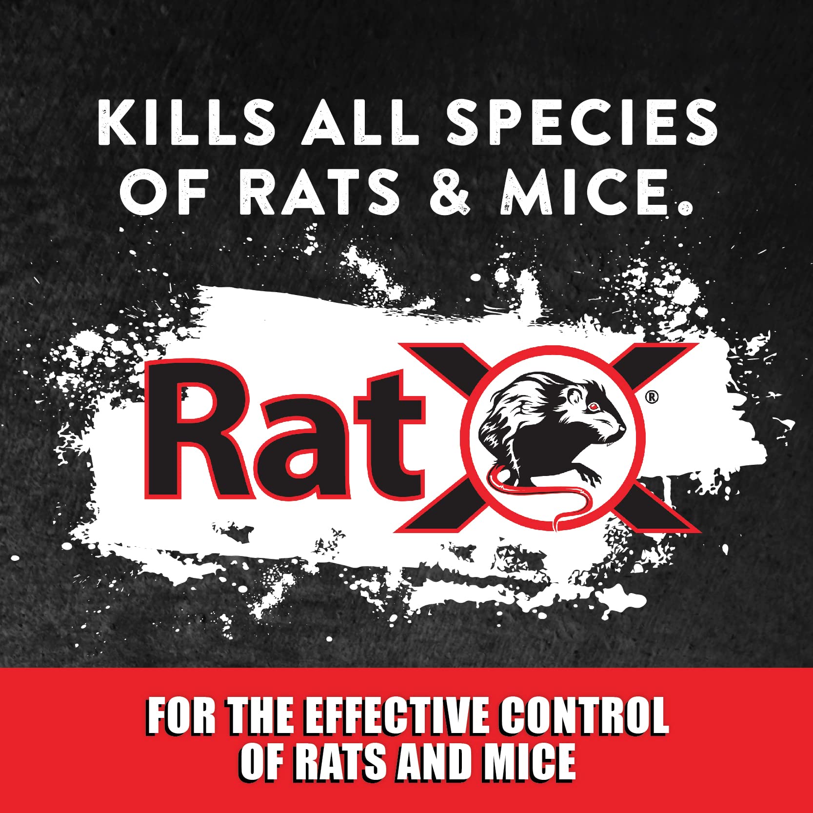 Home use: place RatX pellets where you spot activity.
