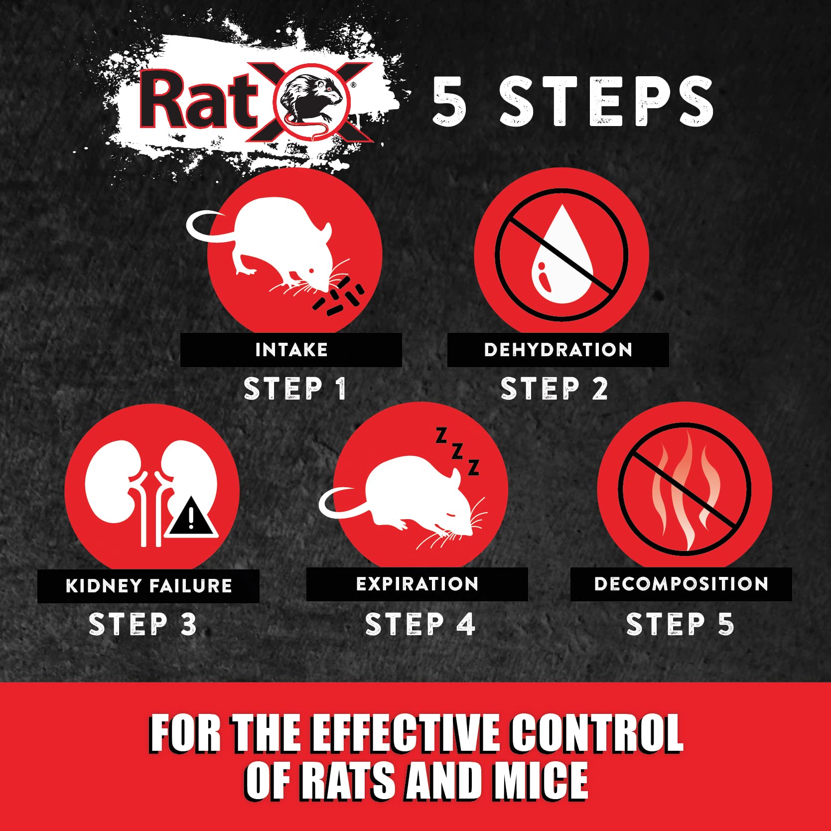 Industrial buildings can benefit from RatX's minimal-risk approach.