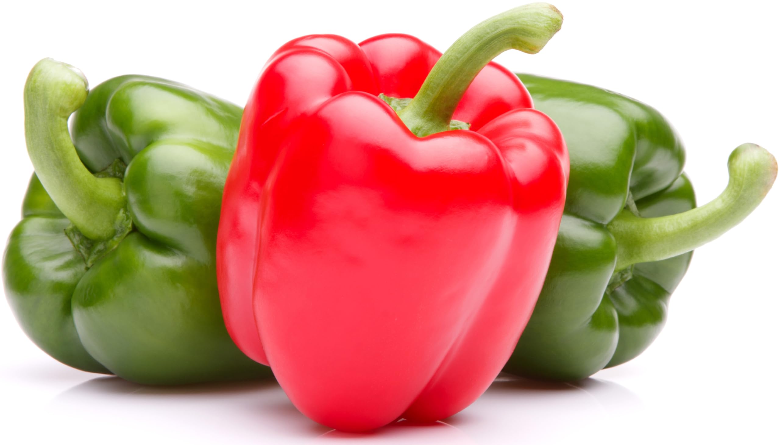 RDR Seeds California Wonder pepper seeds pack ready for home planting