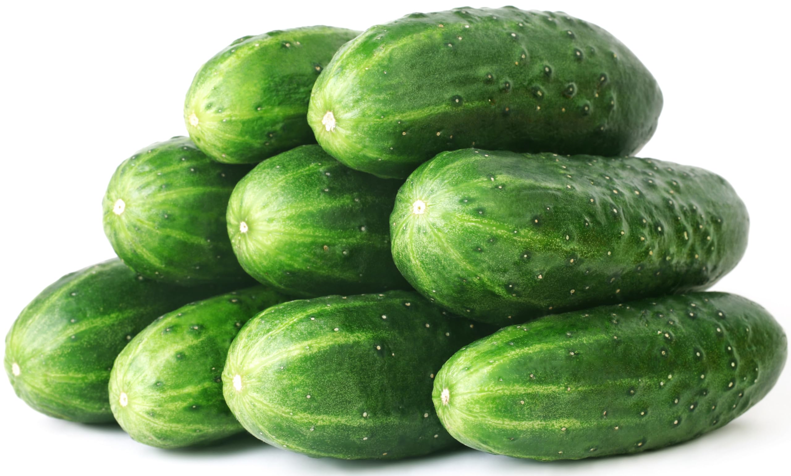 RDR Seeds Straight Eight cucumber seeds pack for home gardens and tasty harvests.