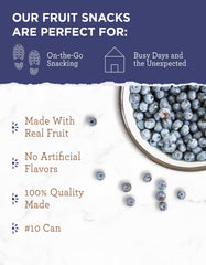 ReadyWise freeze-dried blueberries emergency kit, convenient shelf-stable fruit.