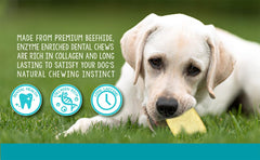 Real Hide action contre plaque: soutien potentiellement une dentition propre.