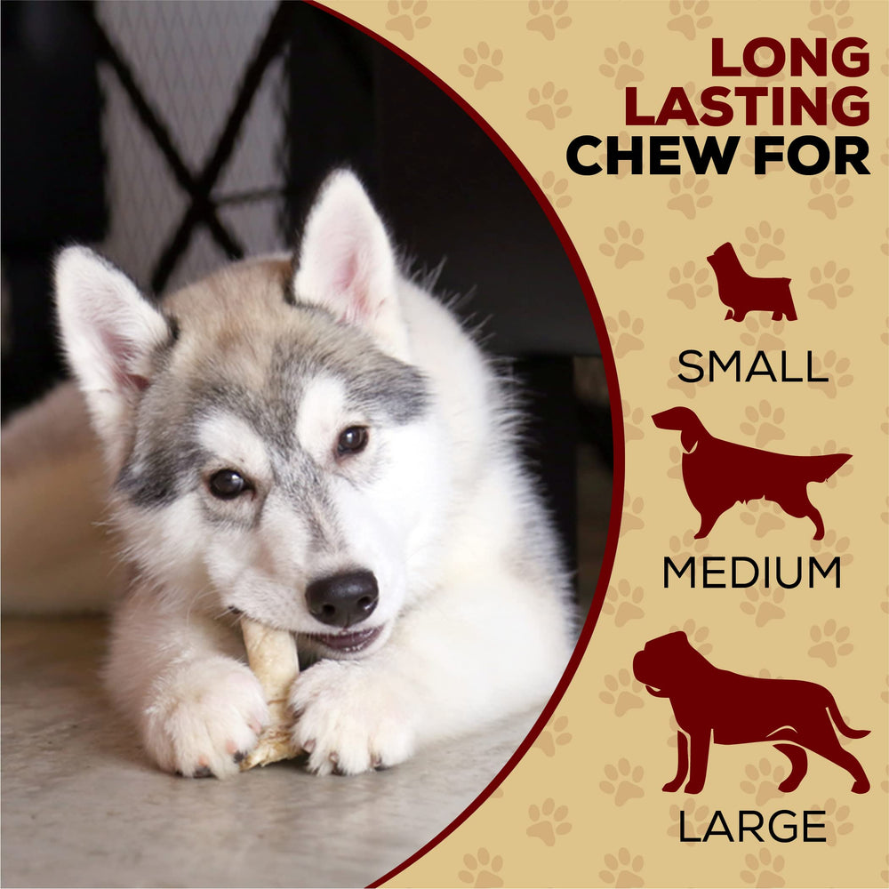 Real Hide teeth-dental benefit visual indicating chewing support