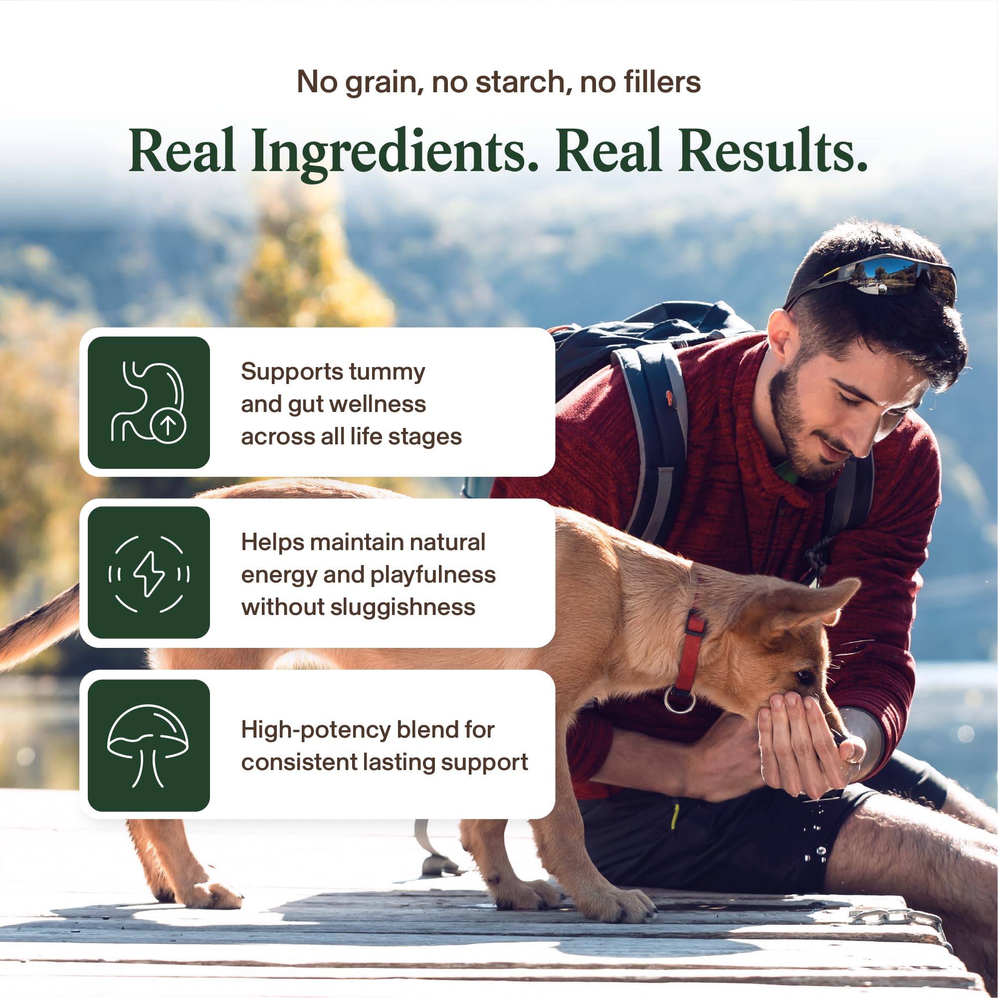 Real Mushrooms Immune Pet Chews closeup showing chew texture and natural ingredients