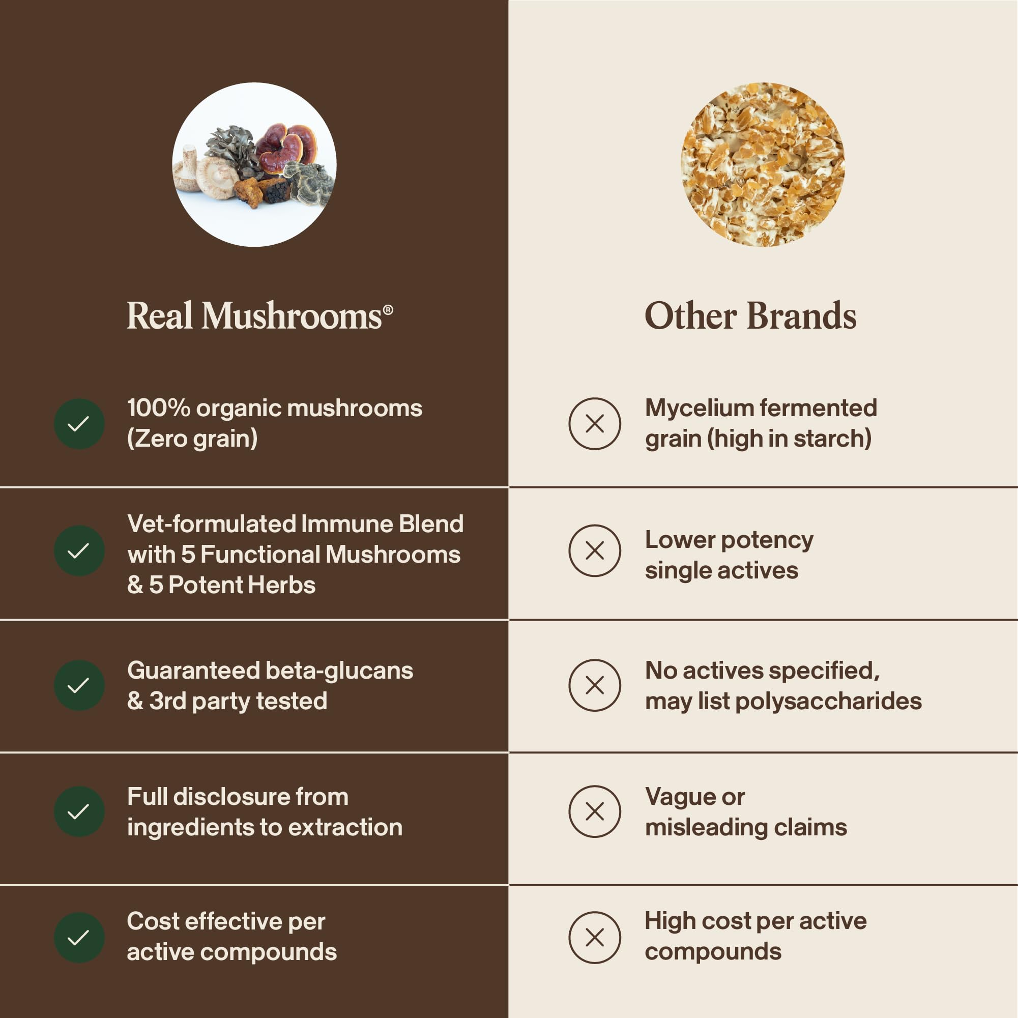 Real Mushrooms Immune Pet Chews container showing USA-made quality