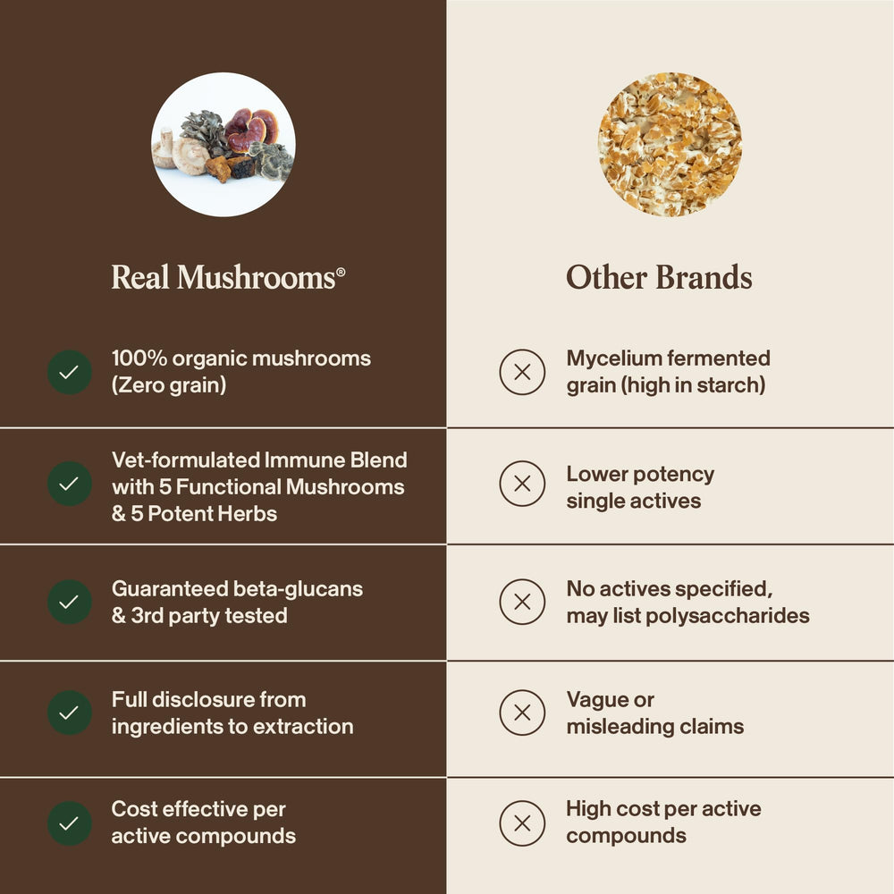 Real Mushrooms Immune Pet Chews container showing USA-made quality