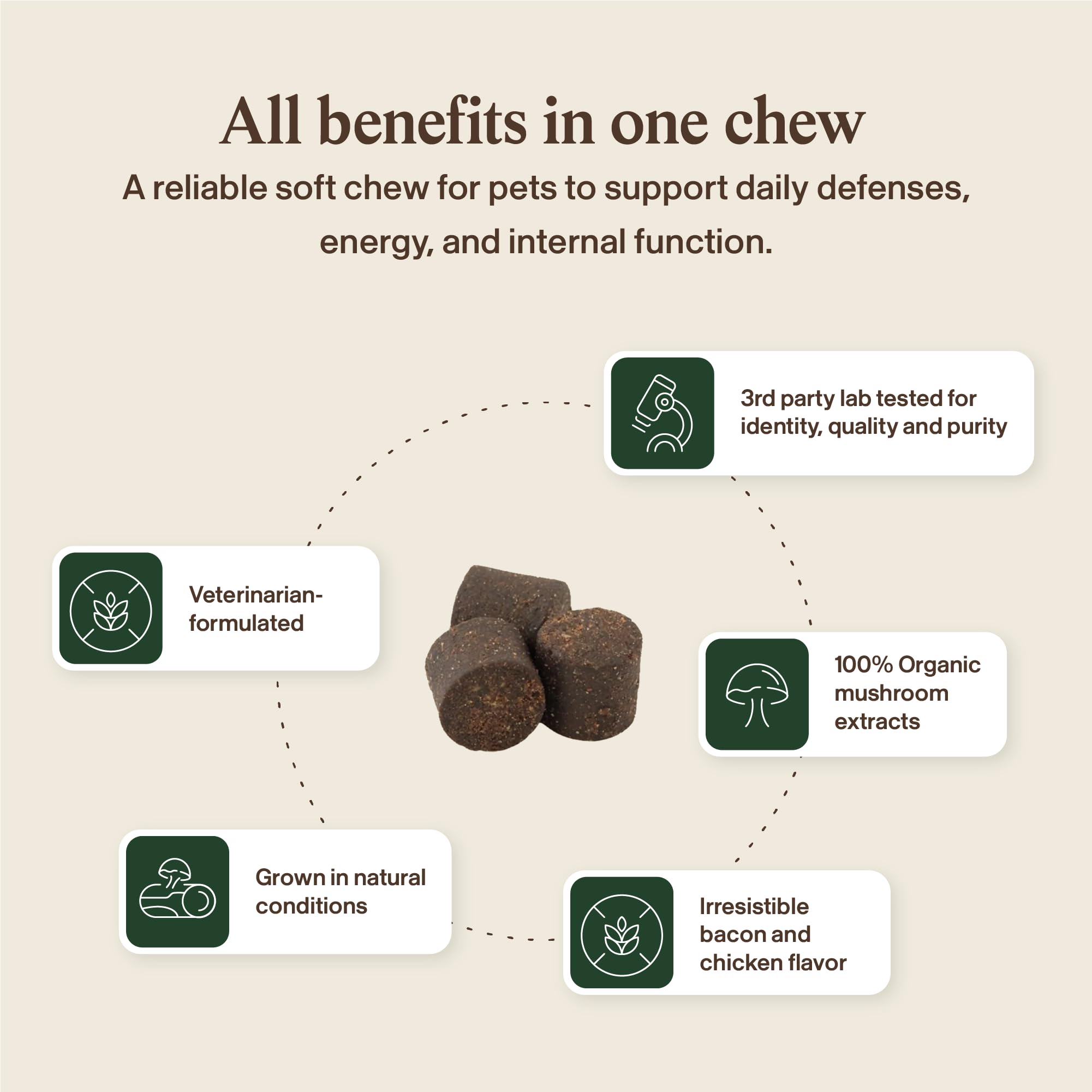 Real Mushrooms Immune Pet Chews mushroom varieties shown for immune and digestive support