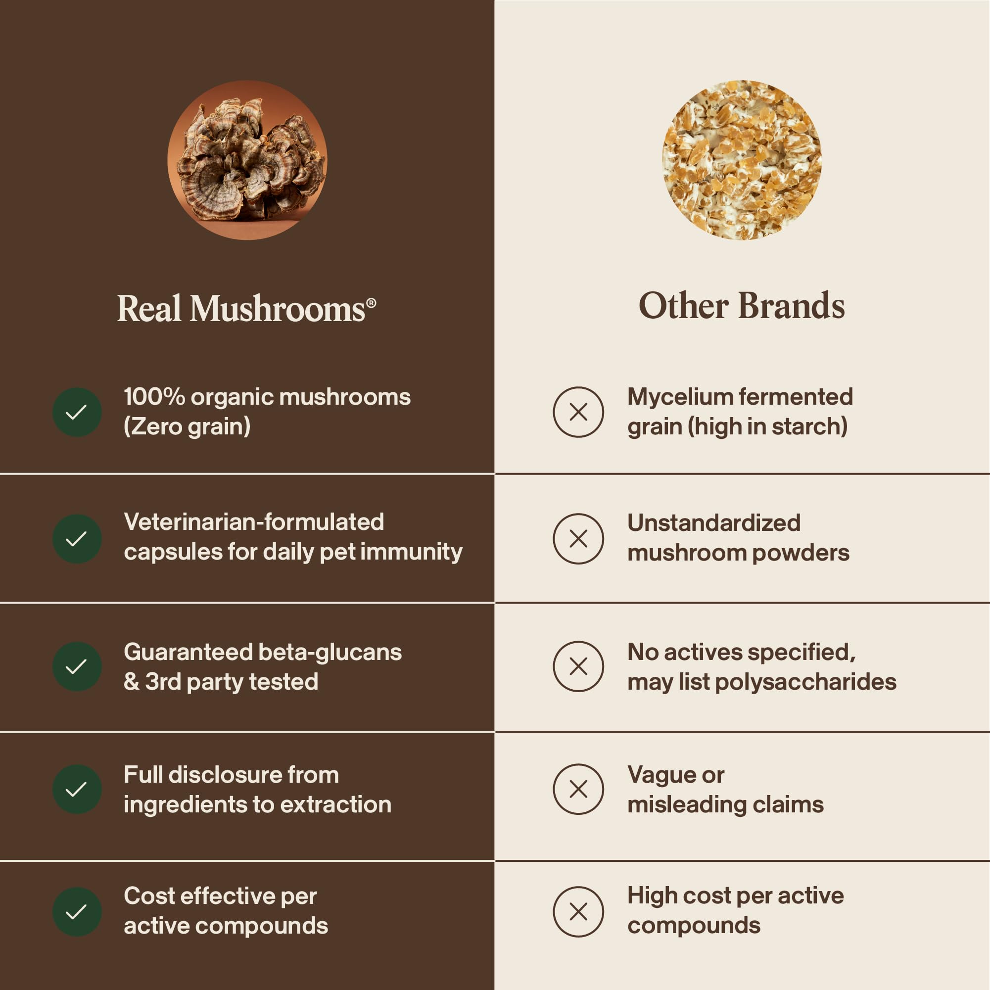 Real Mushrooms NSF-certified facility badge signaling quality and transparency.
