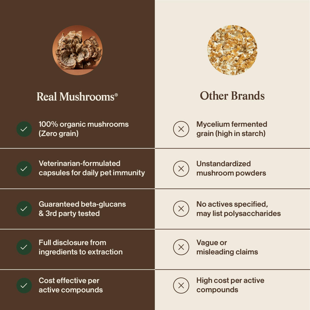 Real Mushrooms NSF-certified facility badge signaling quality and transparency.