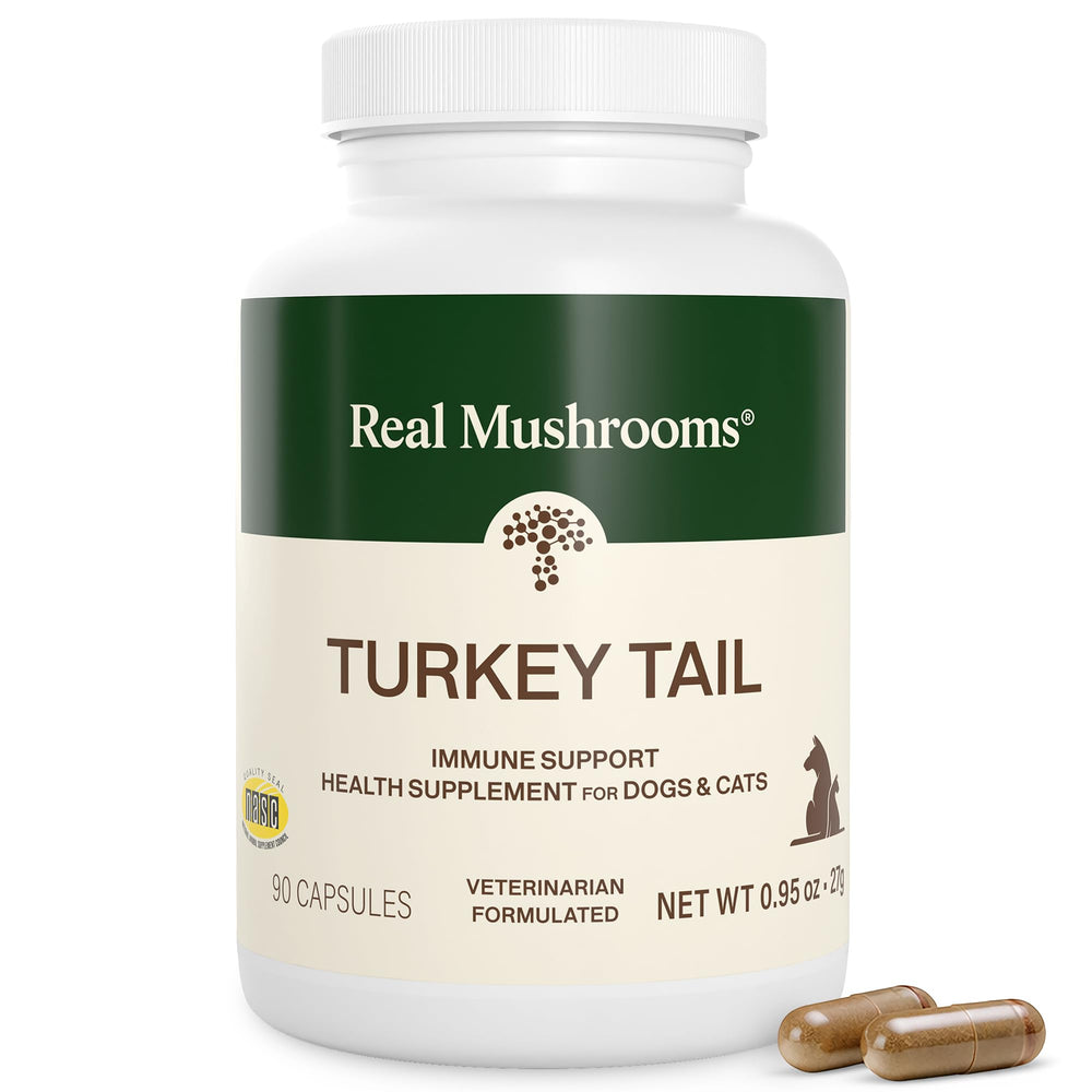 Real Mushrooms Turkey Tail Pets bottle; organic extract for daily balance.