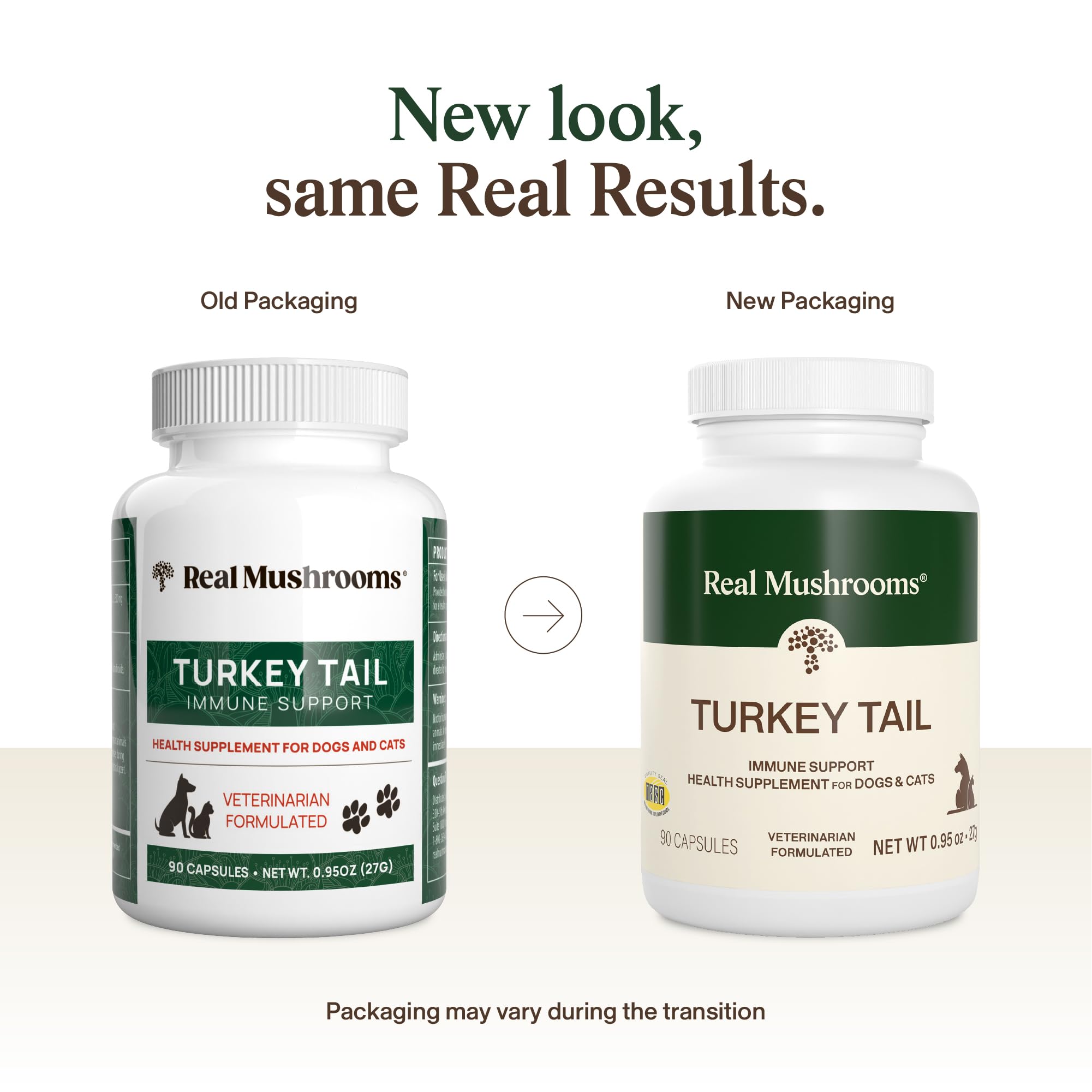 Real Mushrooms Turkey Tail capsules close-up; easy to mix into pet meals.