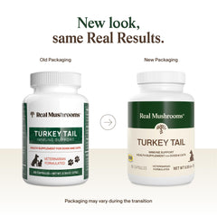 Real Mushrooms Turkey Tail capsules close-up; easy to mix into pet meals.