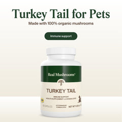 Real Mushrooms Turkey Tail capsules beside a dog meal bowl for added convenience.