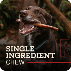 Redbarn all natural beef bully sticks highlight single-ingredient chew.