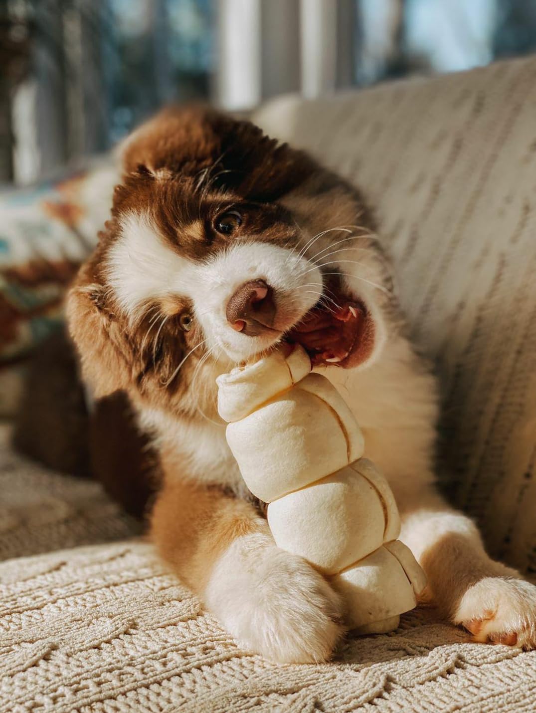 Redbarn grain-free dog chew; naturally collagen-rich with no artificial additives.