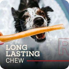 Redbarn beef collagen sticks 12inch gnaw-texture close-up shows a dense chew.