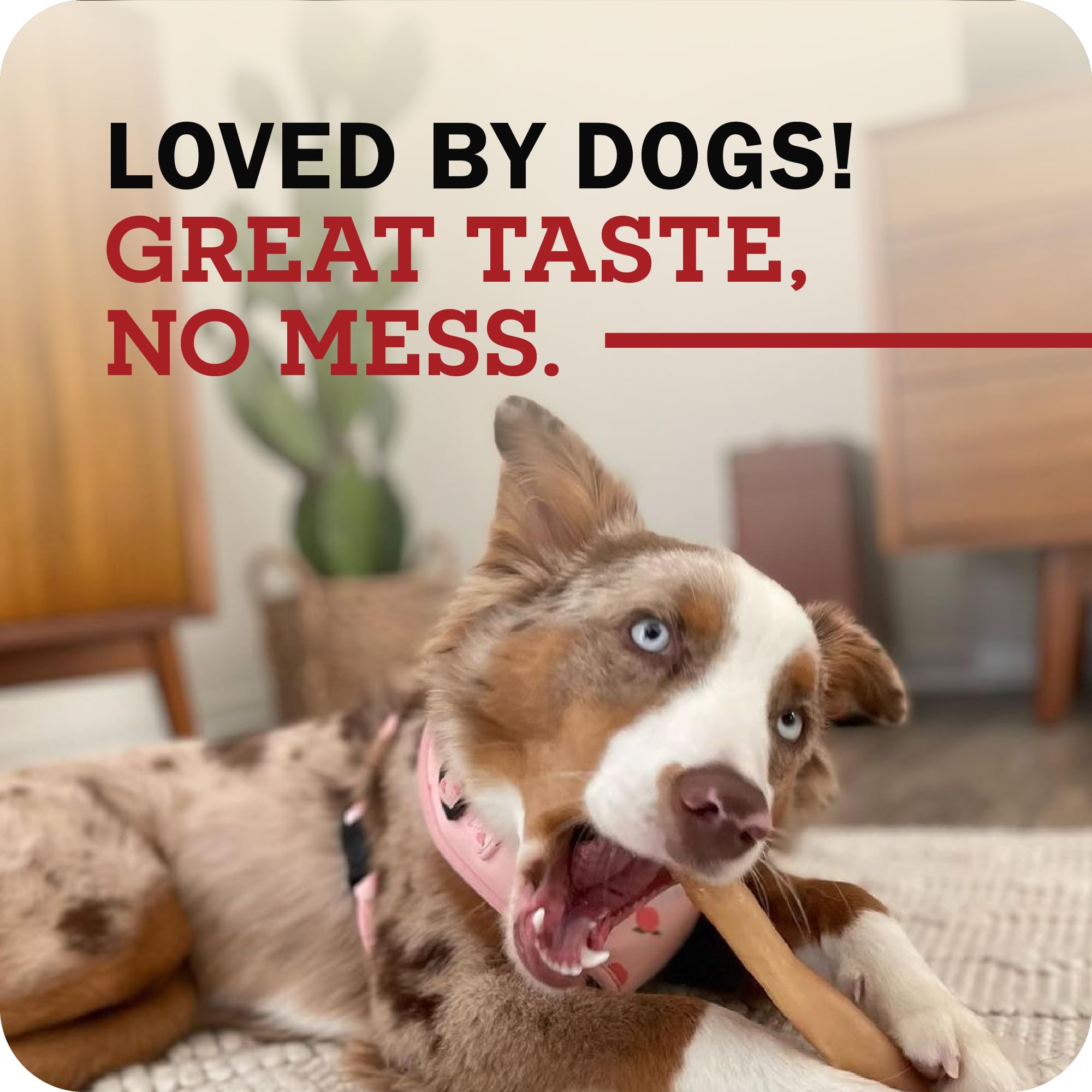 Redbarn collagen sticks dental-care visual suggests tartar control through chewing.