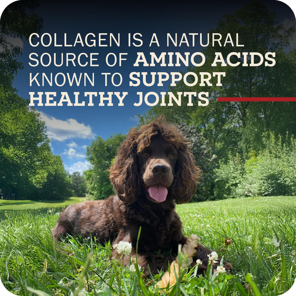 Redbarn collagen sticks low-odor pack highlights a cleaner chewing experience.