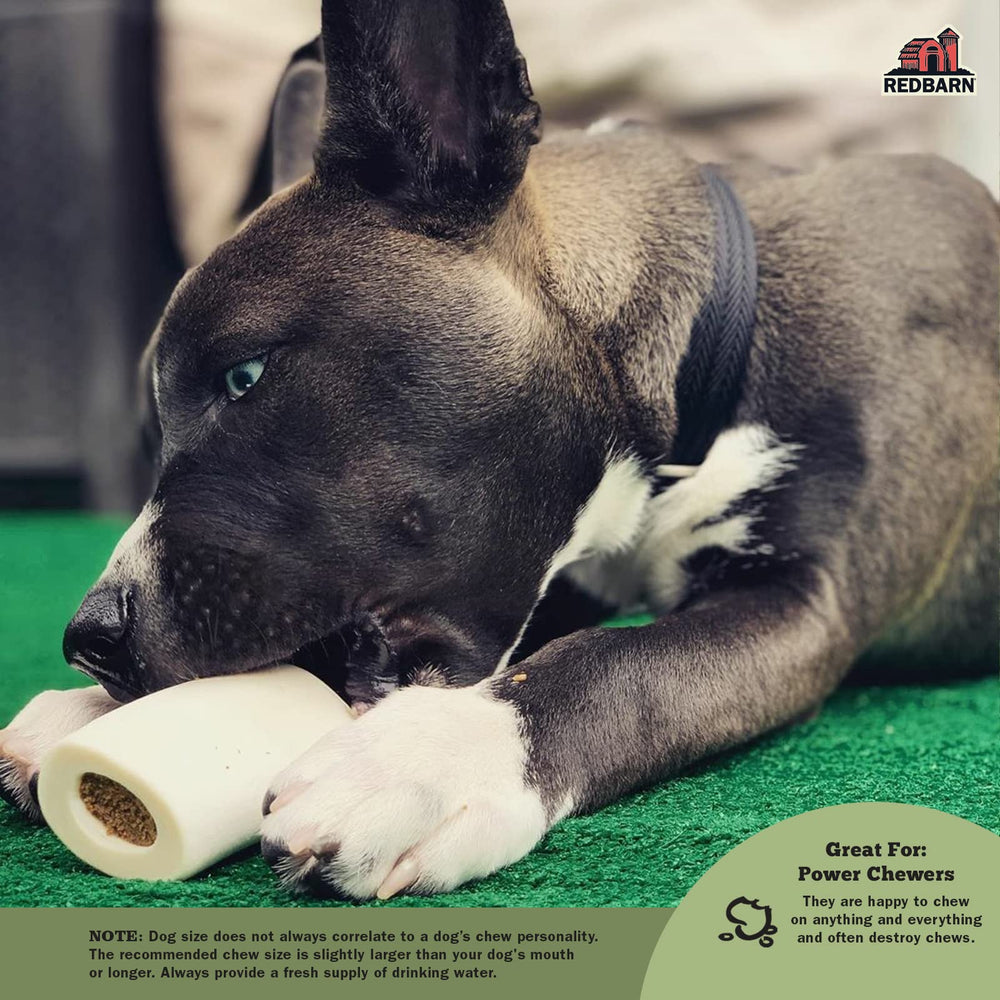 Redbarn dog chewing a filled bone during playtime for engagement.