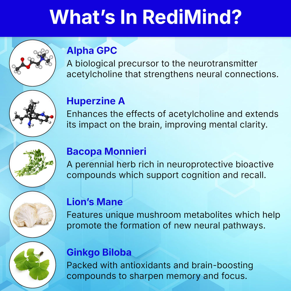 RediMind huperzine A visual representing memory pathway support.
