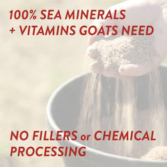 Goats choose REDMOND Goat Mineral Mix during free-choice feeding.