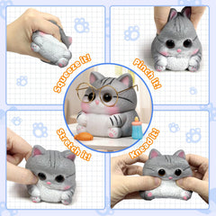 Reenovan Cat Accessories pack adds collectible charm and play options.