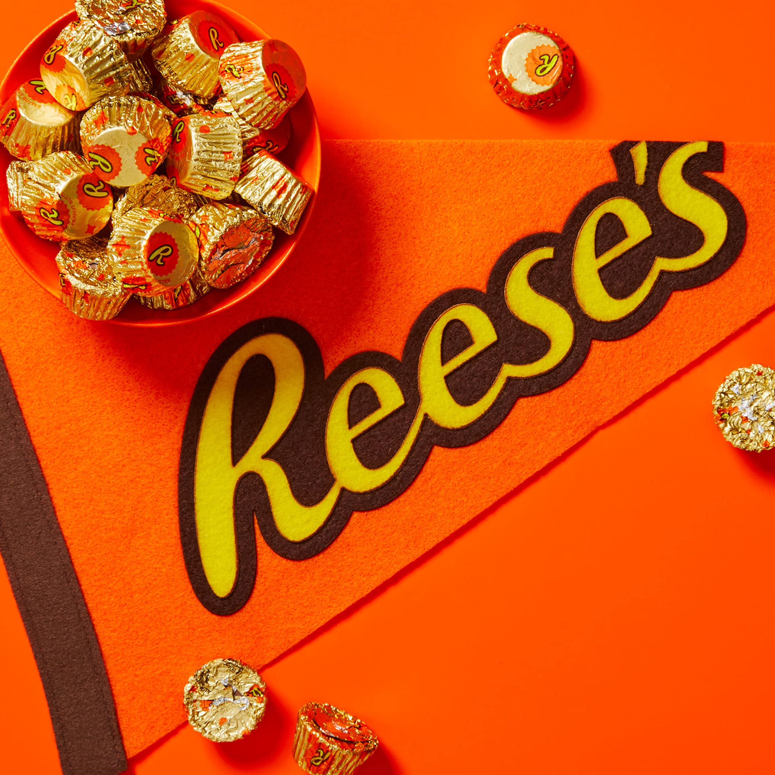 REESE'S Miniatures being packed into a car for a road trip snack