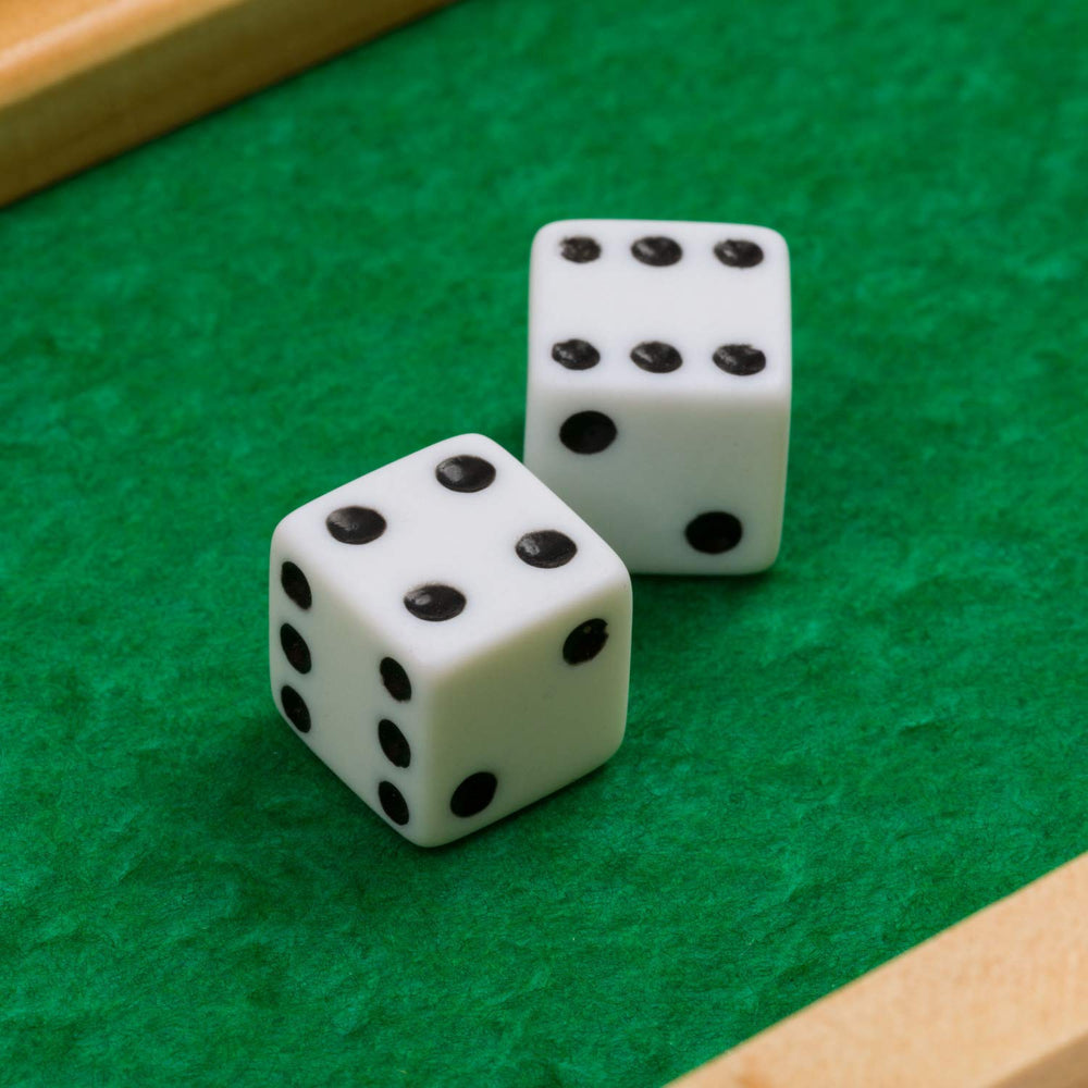 Regal Games Shut The Box adults and kids-friendly design for shared fun