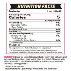 Remedy Liquid Kombucha Mixed Berry can, back label, low calorie choice for mindful hydration.